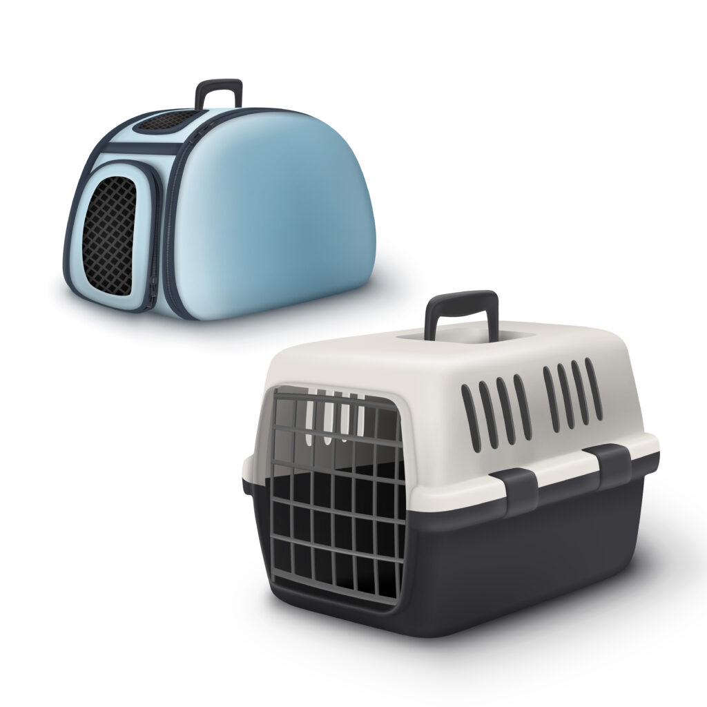 Cat Carriers, Tested by Experts and Approved by Cats