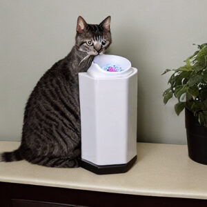 Water Dispenser For Pets