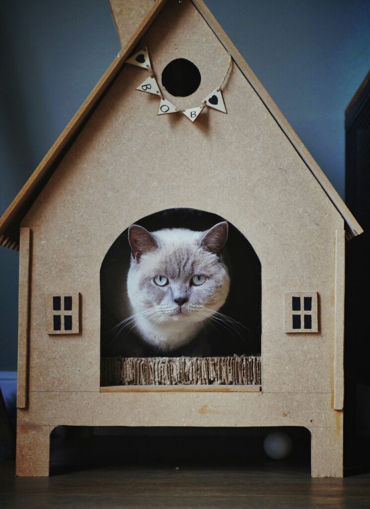 Cat House Hut Shape