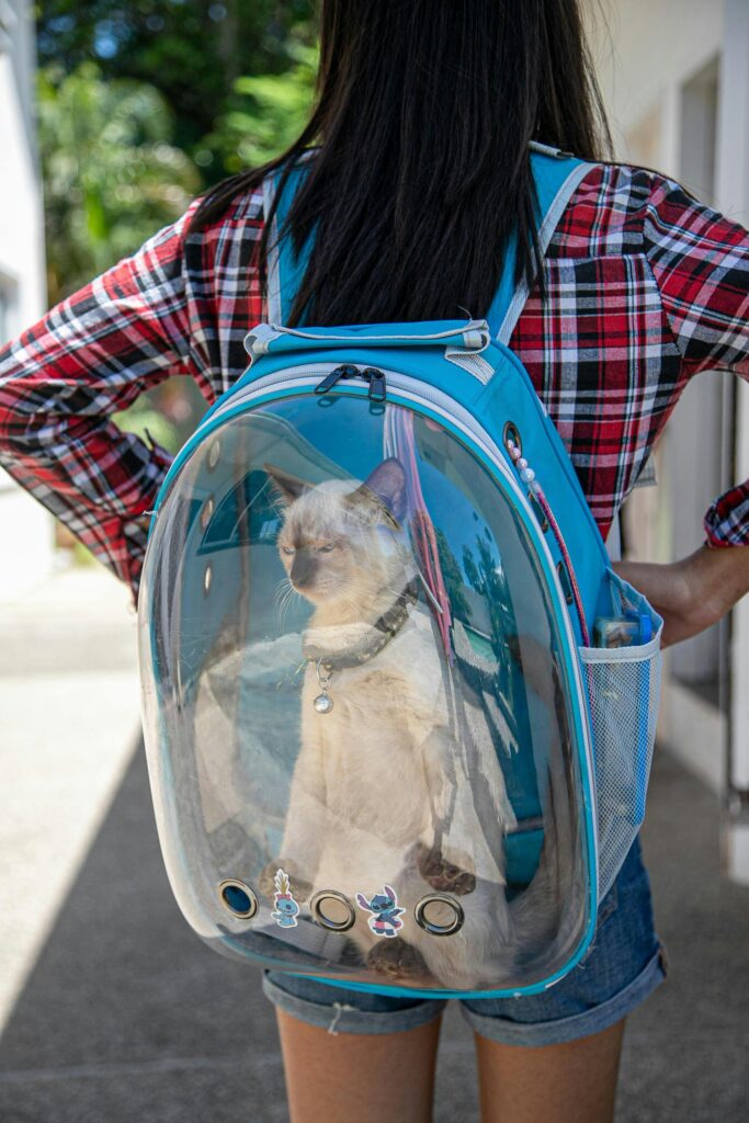Cat Backpack: Exploring Different Types and Top Companies