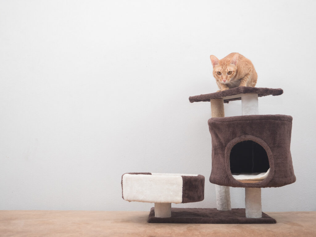 Best Cat Trees: Exploring Different Types and Top Companies